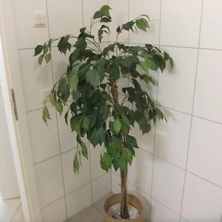 Apartament Beautiful Im Zentrum Von *