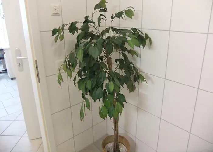 Appartamento Beautiful Im Zentrum Von *